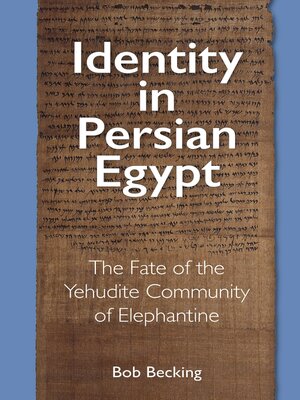 cover image of Identity in Persian Egypt